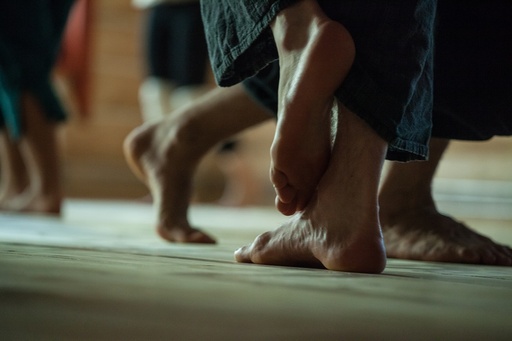 Intake opleiding "Dans- & bewegingstherapie"