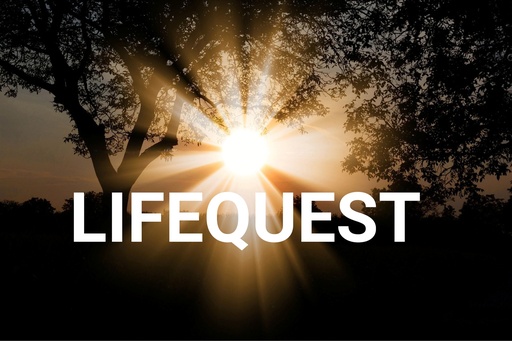 [TH-LIFE-26] Life Quest, een ervaringsgroep die transformeert en verbindt